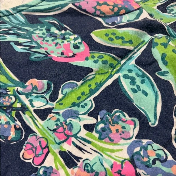 Lilly Pulitzer Dres - Picture 8 of 10